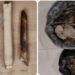 Elephant tusks, Pangolin scales seized; 4 held in Ri Bhoi