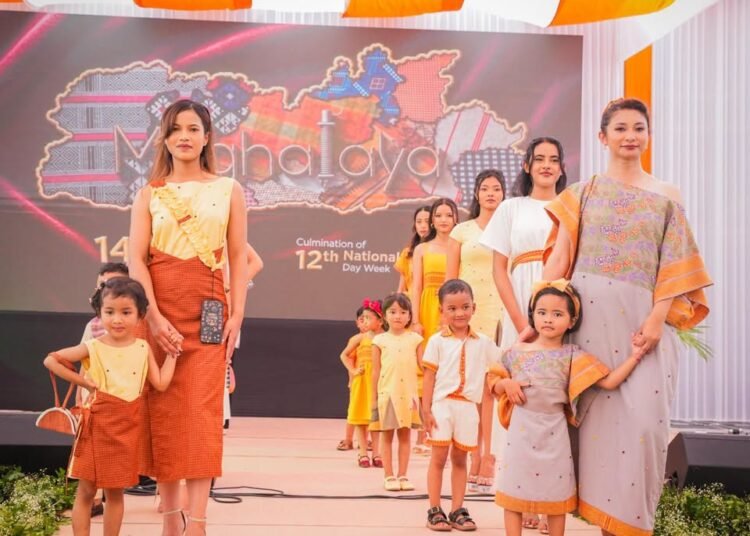 Govt sees handloom promotion as investment in local culture & identity