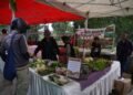 Farmers’ market puts money directly in growers’ pockets
