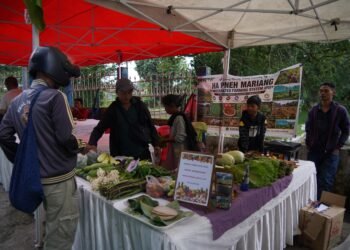 Farmers’ market puts money directly in growers’ pockets
