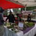 Farmers’ market puts money directly in growers’ pockets