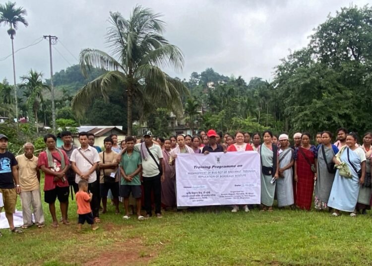 KVK trains farmers on bud rot control in Ri Bhoi
