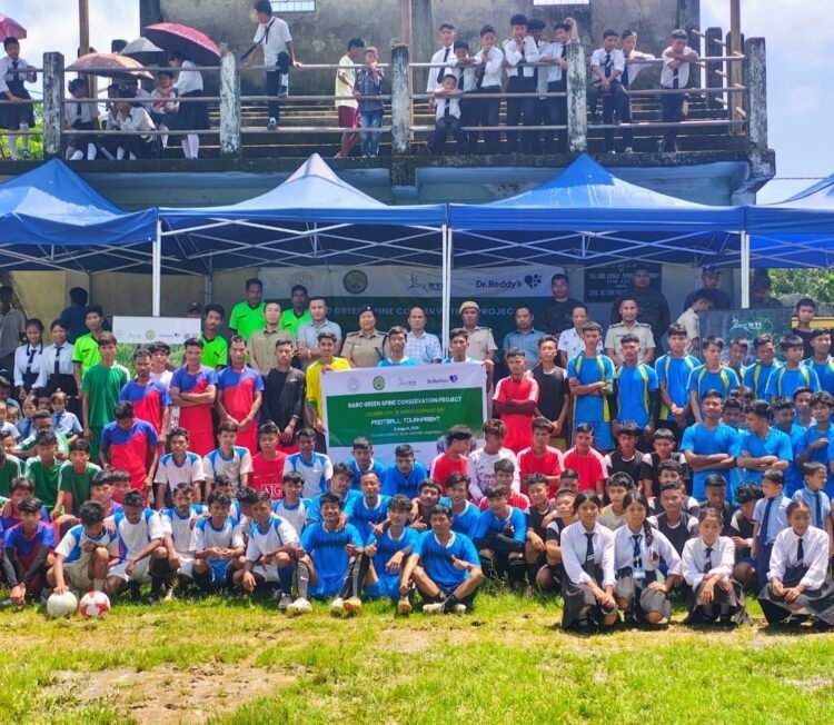 World Elephant Day marked with football tournaments in Garo Hills and Goalpara