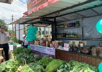 Natural & Craft Mart inaugurated in Jowai to promote SHG products