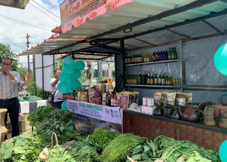 Natural & Craft Mart inaugurated in Jowai to promote SHG products