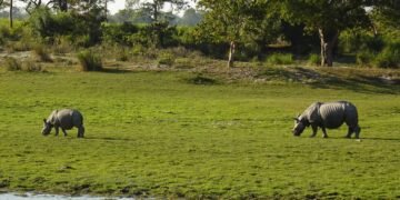 Himanta defends move to limit eco-sensitive zone around Kaziranga to 1 km