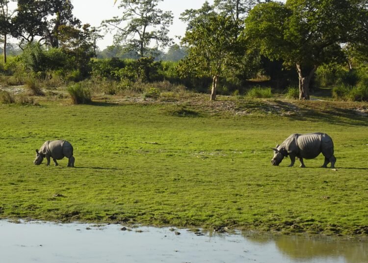 Himanta defends move to limit eco-sensitive zone around Kaziranga to 1 km
