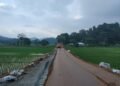 Rongjeng-Mangsang-Adokgre road 97pc done, Assembly told