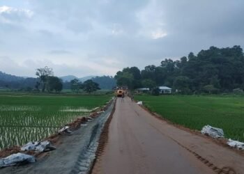 Rongjeng-Mangsang-Adokgre road 97pc done, Assembly told