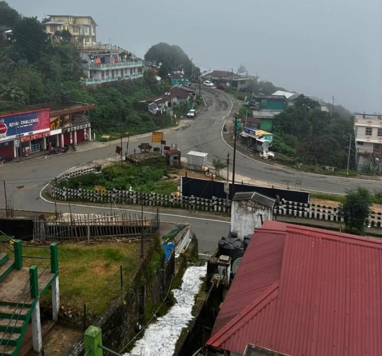 Tourism picking up again, stakeholders appeal for peace