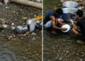 KSU inspects Polo site after video of utensil washing in Umkhrah River surfaces