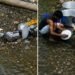 KSU inspects Polo site after video of utensil washing in Umkhrah River surfaces