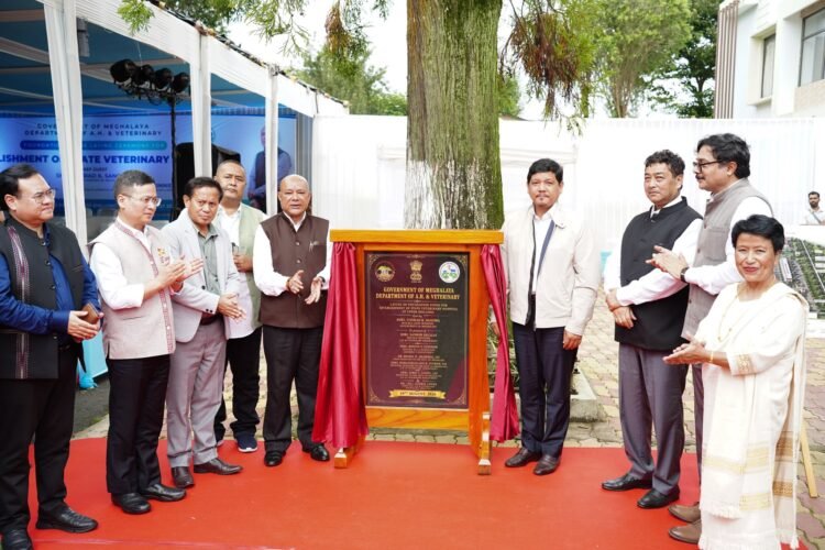 CM lays foundation for ₹65 Cr State Veterinary Hospital at Upper Shillong