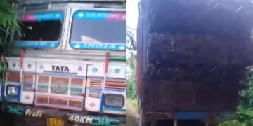 AHAM seizes bamboo-laden truck, hands over to forest dept