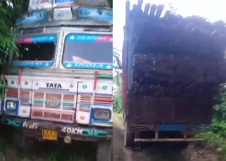 AHAM seizes bamboo-laden truck, hands over to forest dept