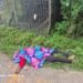 Body found at Umjaraiñ Market