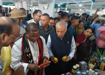 Governor bats for natural farming as NE hub at CAU conference