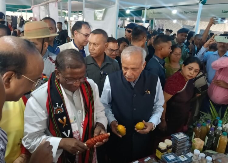 Governor bats for natural farming as NE hub at CAU conference