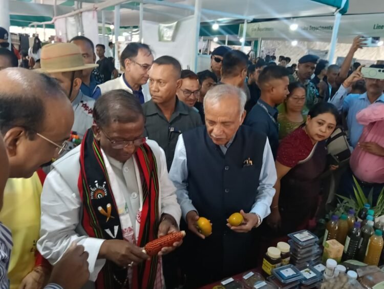 Governor bats for natural farming as NE hub at CAU conference