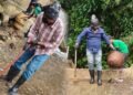 UP tourists swap vandalism for volunteering in Shillong
