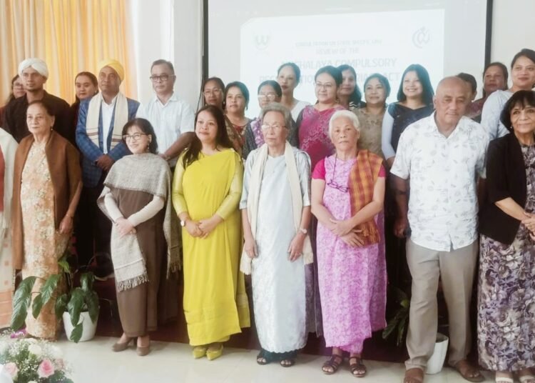 KHADC Bill soon to regulate customary marriages, live-ins