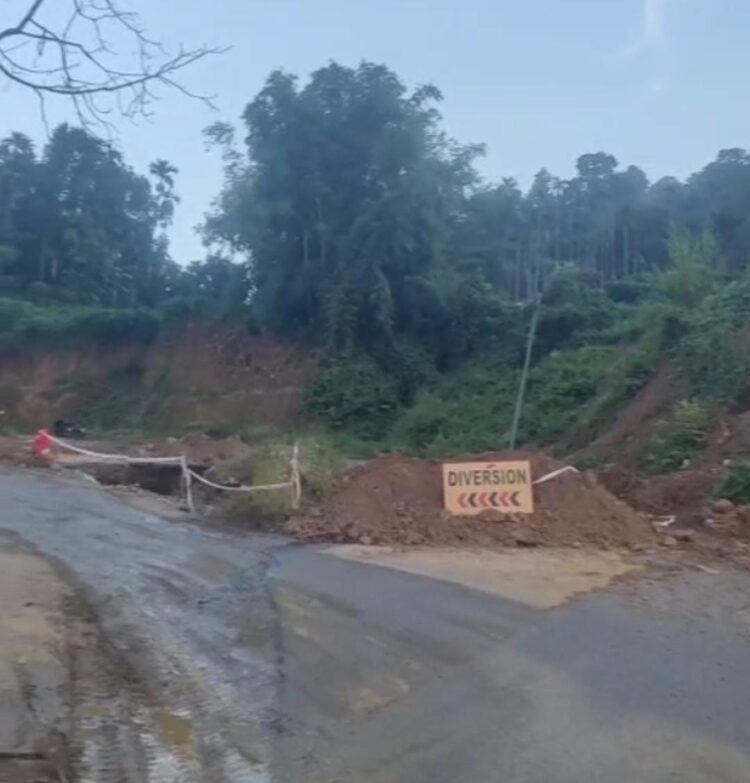 ASPF alleges violations in Darugre-Songsak-Williamnagar road expansion, seeks action
