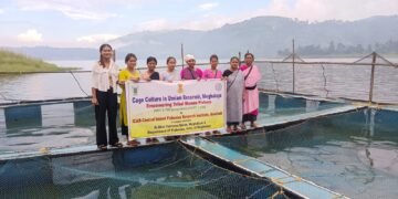 Fish farming promoted at Umiam