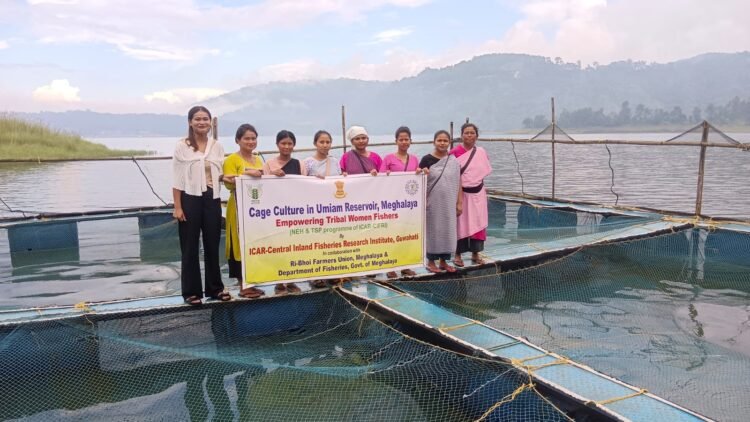 Fish farming promoted at Umiam
