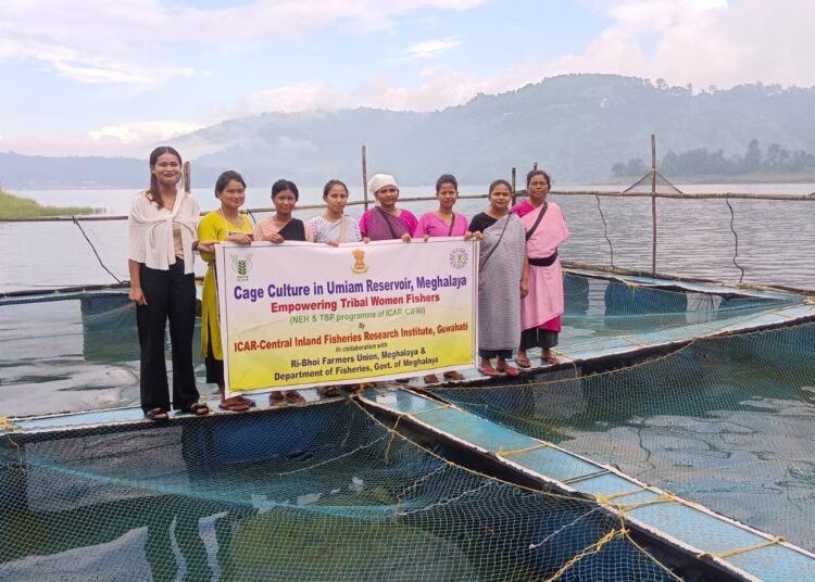 Fish farming promoted at Umiam