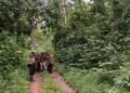 First multi-state training on Hoolock Gibbon conservation held at Hollongapar