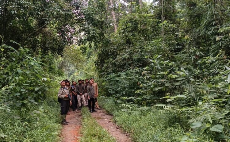 First multi-state training on Hoolock Gibbon conservation held at Hollongapar