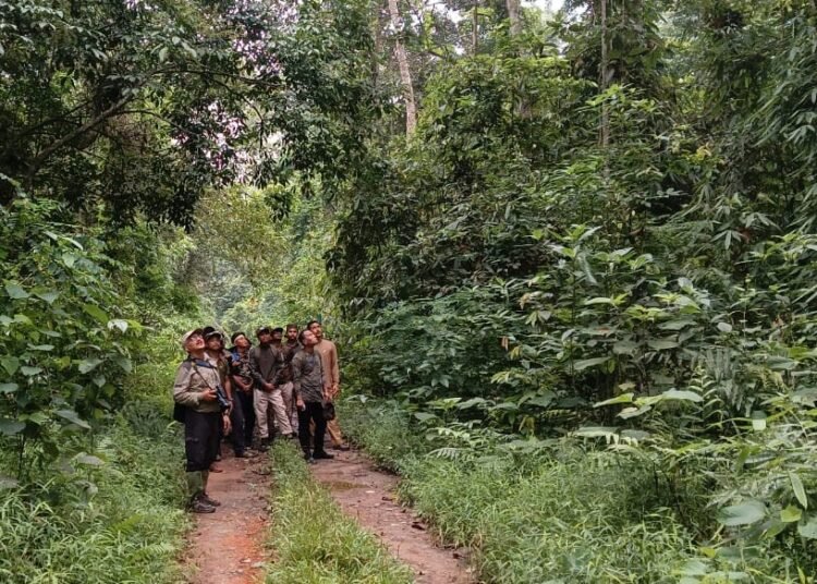 First multi-state training on Hoolock Gibbon conservation held at Hollongapar