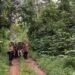 First multi-state training on Hoolock Gibbon conservation held at Hollongapar