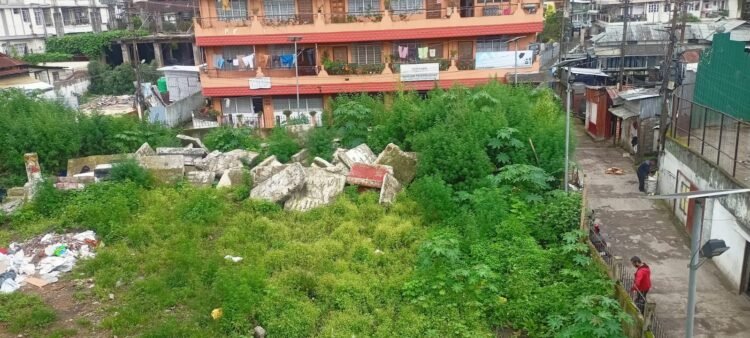 Ganja plants found growing in heart of Laitumkhrah