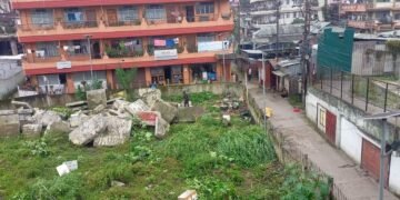 Ganja plants in Laitumkhrah cut down