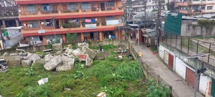 Ganja plants in Laitumkhrah cut down