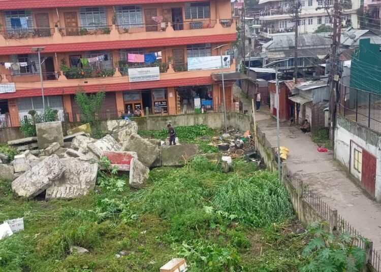 Ganja plants in Laitumkhrah cut down