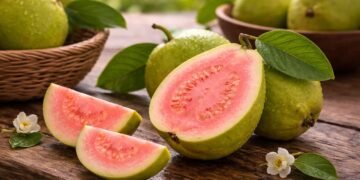 Initiative to grow more Vitamin C-rich guava launched