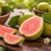 Initiative to grow more Vitamin C-rich guava launched