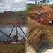 Fresh illegal coal mining in East Jaintia Hills despite HC ban