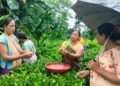 Karbi women trained in handmade tea making