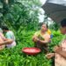 Karbi women trained in handmade tea making