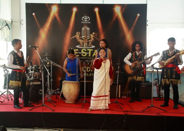 NE Star auditions begin at Highland Toyota