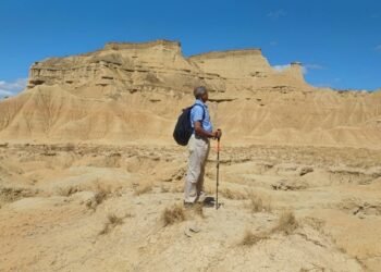 NEHU Prof honoured in Romania for glacial research