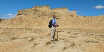 NEHU Prof honoured in Romania for glacial research