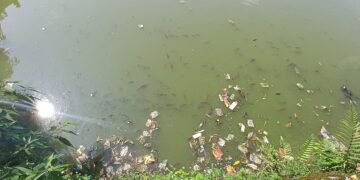 Jowai’s famed Nan Kashari chokes on plastic