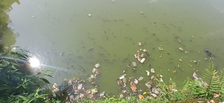 Jowai’s famed Nan Kashari chokes on plastic