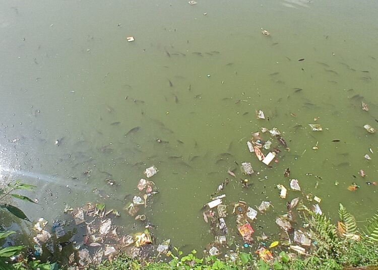 Jowai’s famed Nan Kashari chokes on plastic