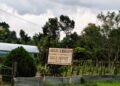 Private nursery operating illegally inside state forest, alleges RTI activist