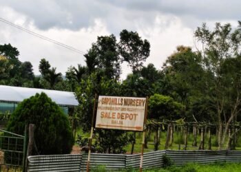 Private nursery operating illegally inside state forest, alleges RTI activist